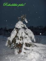 24-12-2013, 21:48 PM